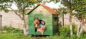 Bahçelievler Köpek Oteli