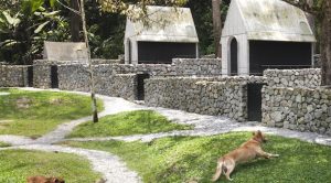 Başak şehir Köpek Pansiyonu