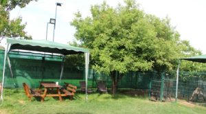 İstanbul Kartal Köpek Pansiyonu