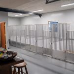 Köpek Otelleri: Güvenilirlik ve Hizmet Kalitesi